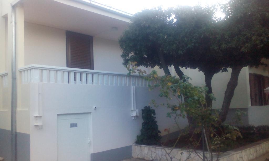 Apartment Basic Petrčane Kültér fotó